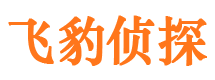 洛川市调查公司